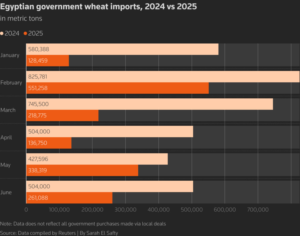 Dispute over unpaid shipment adds pressure on Egypt’s new grain-buying agency