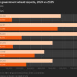 Dispute over unpaid shipment adds pressure on Egypt’s new grain-buying agency
